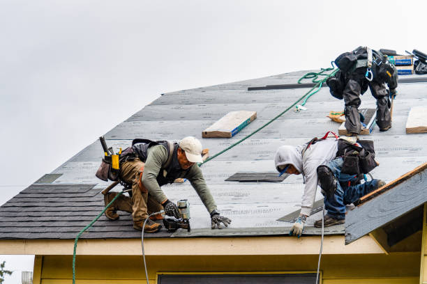 Professional Gutter Installation technician working in Martell, NE